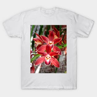 Key West Orchid T-Shirt